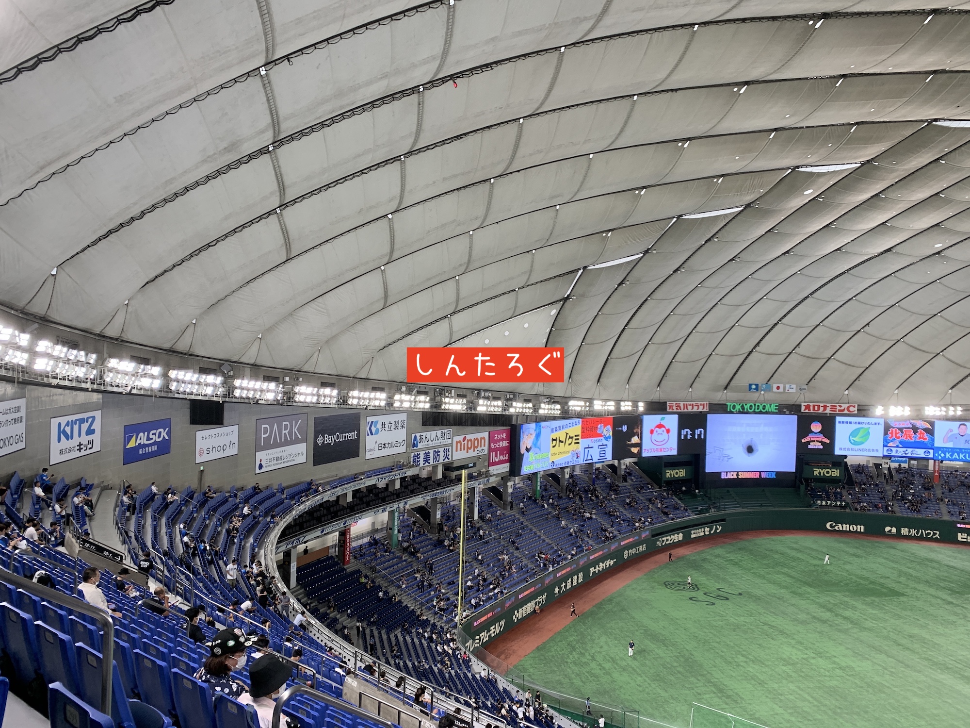 5/20(月) レッチリ 東京ドーム ss席 一枚 【公式通販】 5/20(月) レッチリ 東京ドーム ss席 一枚 【公式通販】